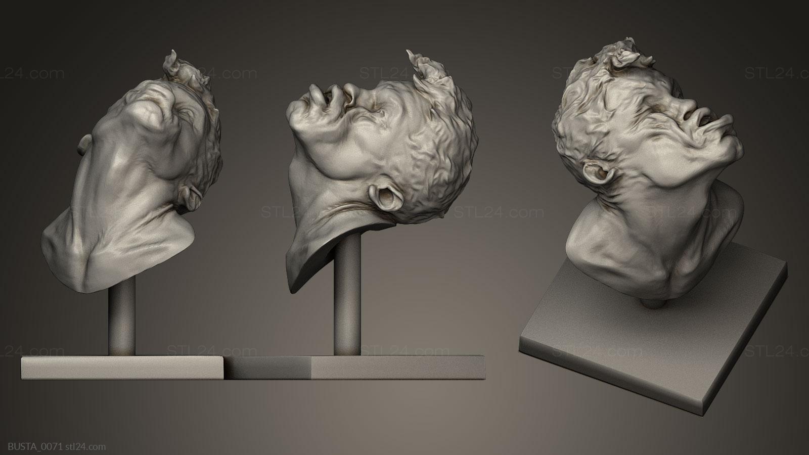 Бюсты и головы античные и исторические (Вой, BUSTA_0071) 3D модель для ЧПУ станка